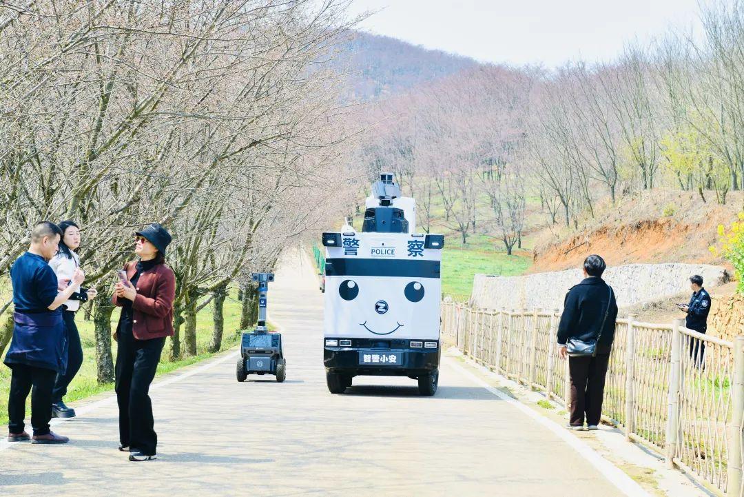 櫻花與科技共舞：貴安櫻花園“智警小安”成新寵