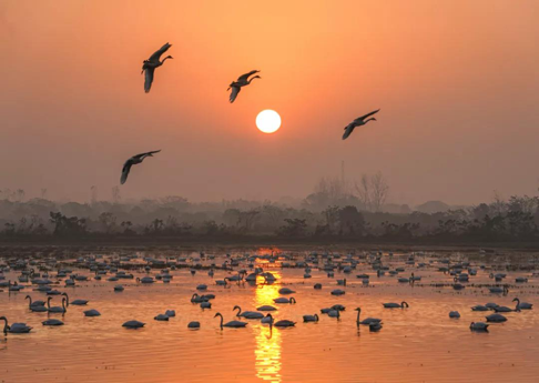 岳陽東古湖生態(tài)蝶變背后的檢察守護(hù)